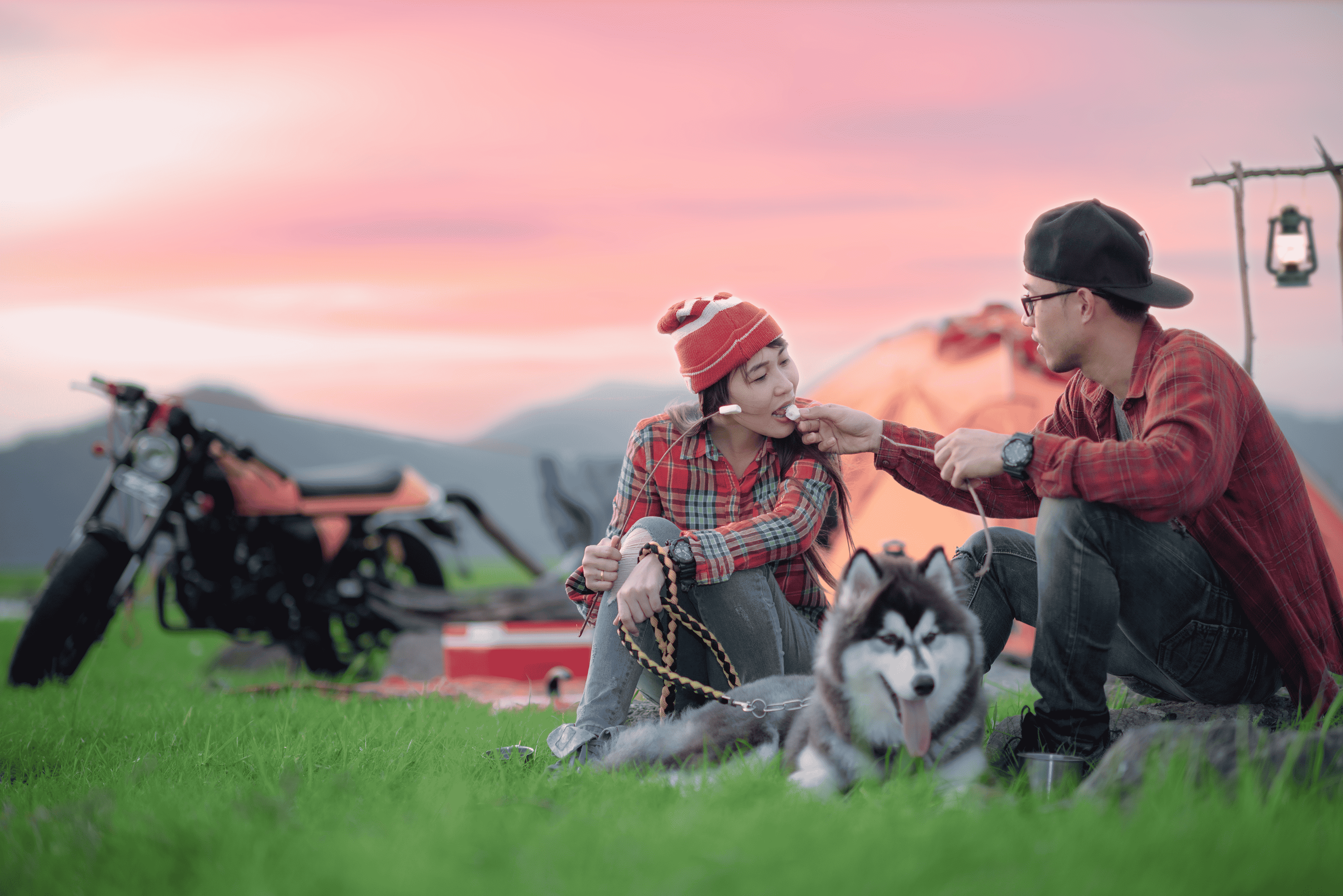 Couple enjoying outdoor camping with their husky dog during sunset